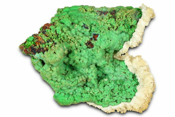 Vibrant Green Conichalcite on Limonite - Namibia #373572